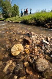 Big Timber Creek, Lemhi River Tributary