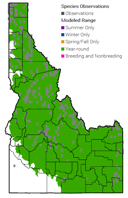 Canada Lynx Range Map