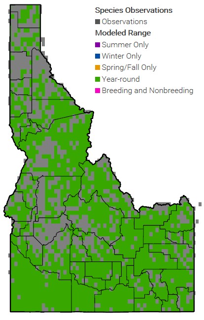 gray wolf habitat map