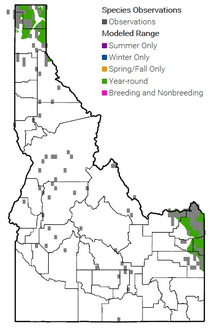 Grizzly Bear Range Map