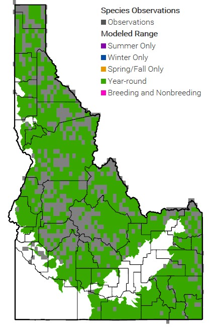 NA Wolverine Map