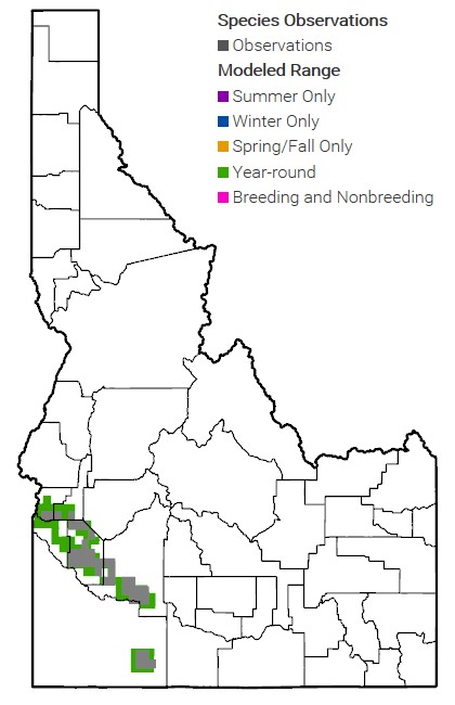 Slickspot Peppergrass Range Map