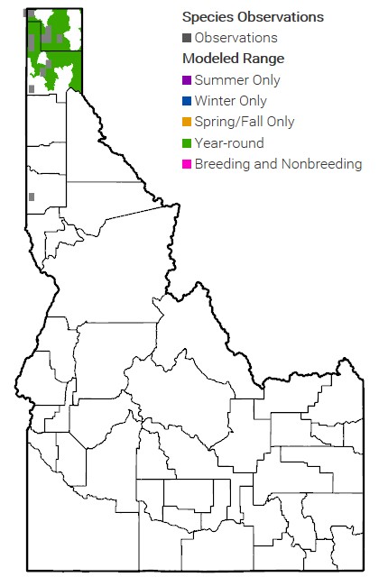 woodland caribou range