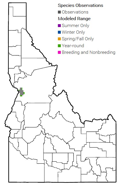 MacFarlane's Four-O'Clock Idaho Range Map