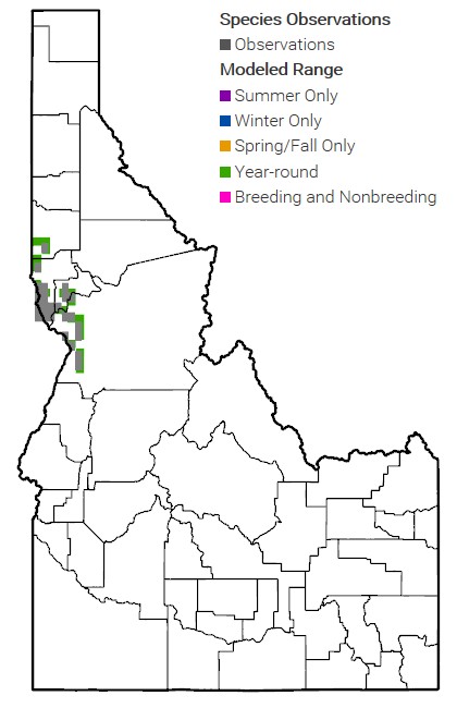 Spalding Catchfly Map