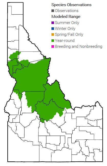 Spring/Summer-Run Chinook Salmon – Snake River ESU | Species Conservation