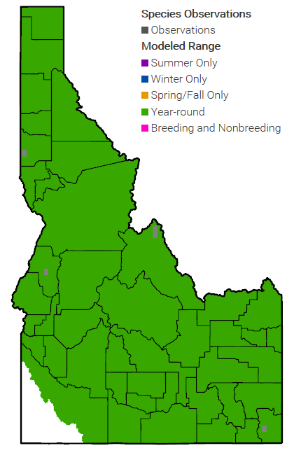 Suckley's BB Map