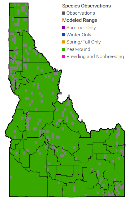 Western Bumble Bee Idaho Range Map